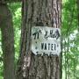 ./10_photos/2010-06-24 12.44.16.jpg